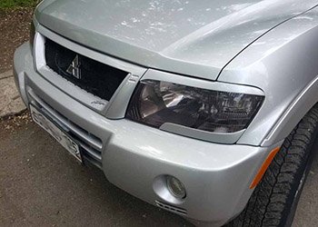 Pajero реснички